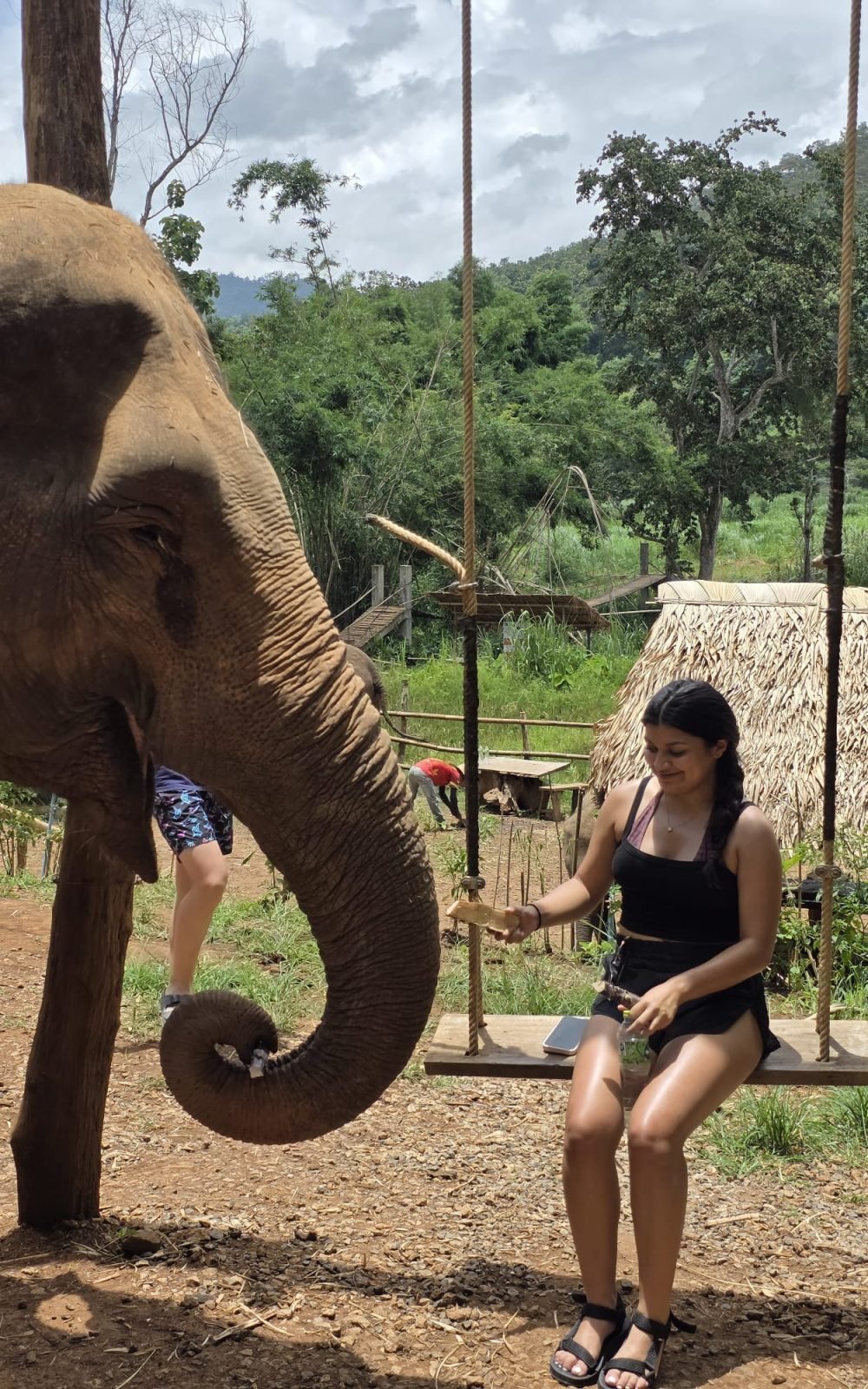 91a299b8-4749-4598-a528-6452163cffe8